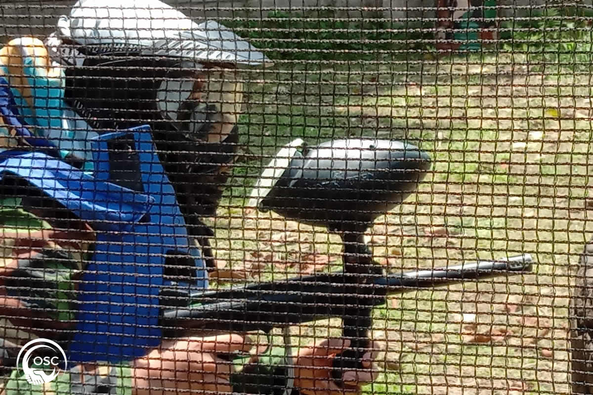 outbound sentul city